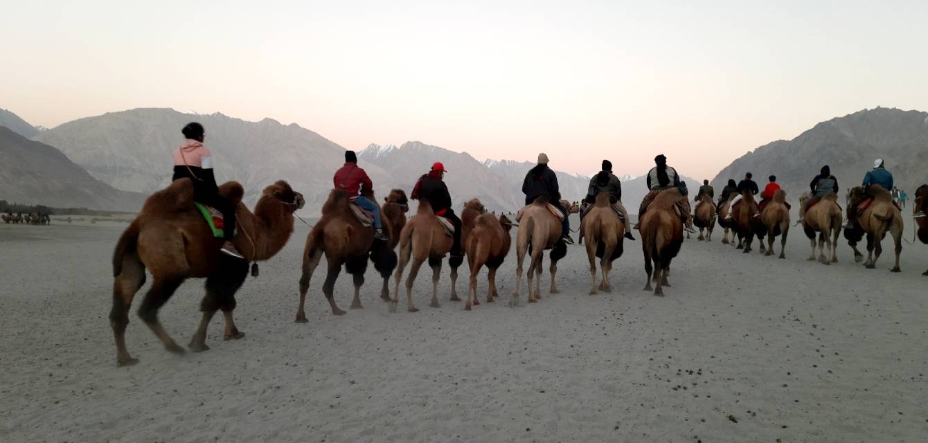 leh ladakh kashmir trip